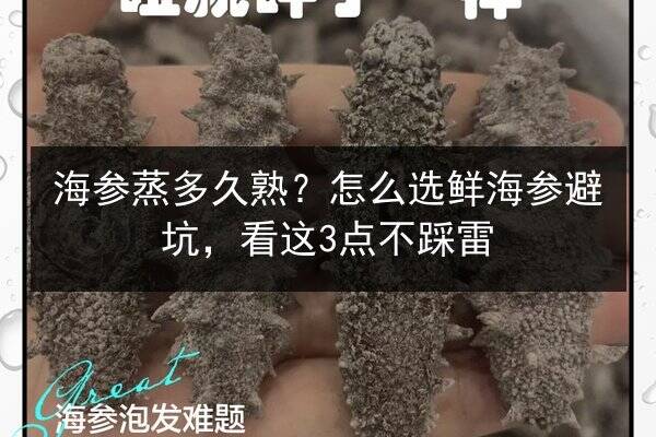 海参蒸多久熟?怎么选鲜海参避坑,看这3点不踩雷