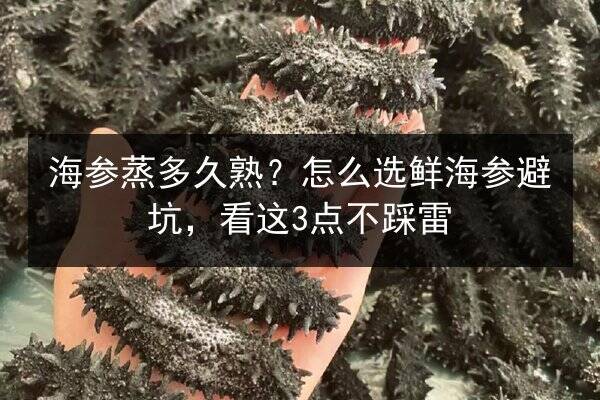 海参蒸多久熟?怎么选鲜海参避坑,看这3点不踩雷