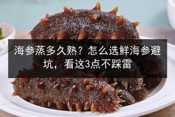 海参蒸多久熟?怎么选鲜海参避坑,看这3点不踩雷