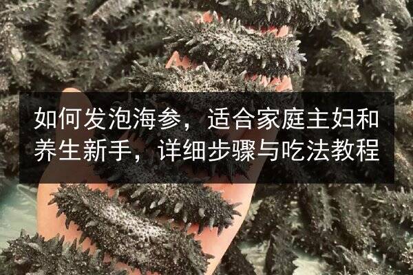 如何发泡海参,适合家庭主妇和养生新手,详细步骤与吃法教程