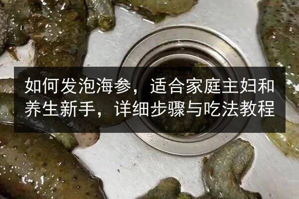 如何发泡海参,适合家庭主妇和养生新手,详细步骤与吃法教程