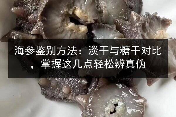 海参鉴别方法：淡干与糖干对比，掌握这几点轻松辨真伪