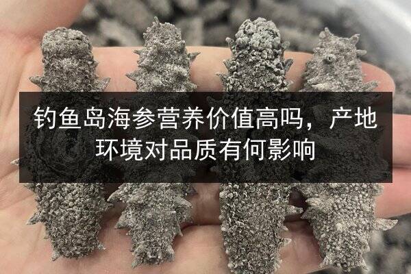 钓鱼岛海参营养价值高吗，产地环境对品质有何影响
