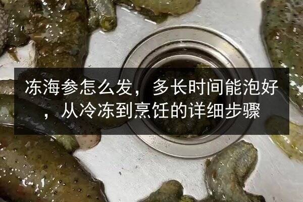 冻海参怎么发,多长时间能泡好,从冷冻到烹饪的详细步骤