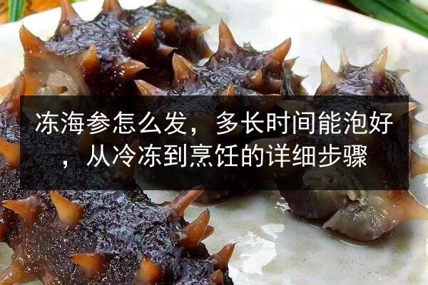 冻海参怎么发,多长时间能泡好,从冷冻到烹饪的详细步骤