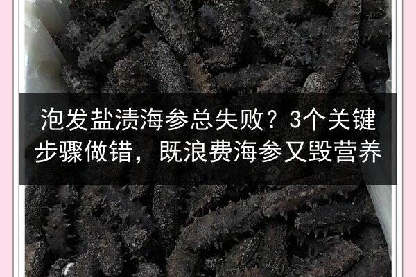 泡发盐渍海参总失败?3个关键步骤做错,既浪费海参又毁营养