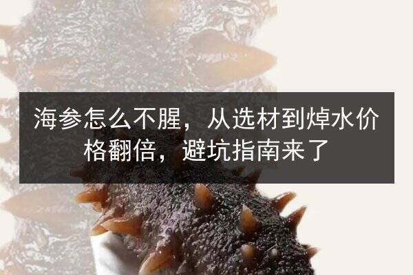 海参怎么不腥,从选材到焯水价格翻倍,避坑指南来了