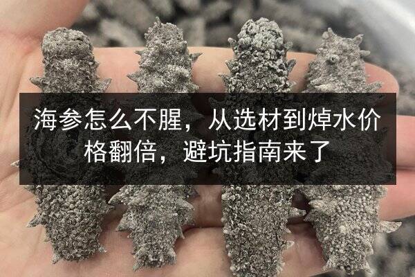 海参怎么不腥,从选材到焯水价格翻倍,避坑指南来了
