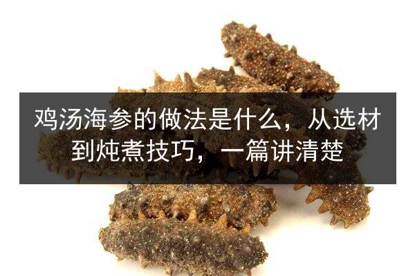 鸡汤海参的做法是什么,从选材到炖煮技巧,一篇讲清楚