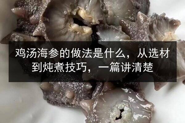 鸡汤海参的做法是什么,从选材到炖煮技巧,一篇讲清楚