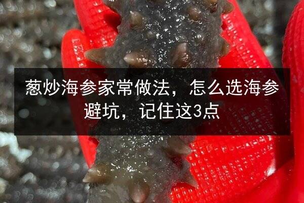 葱炒海参家常做法,怎么选海参避坑,记住这3点