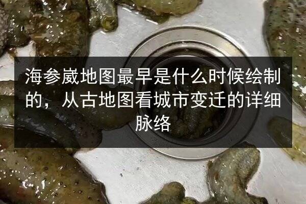 海参崴地图最早是什么时候绘制的,从古地图看城市变迁的详细脉络