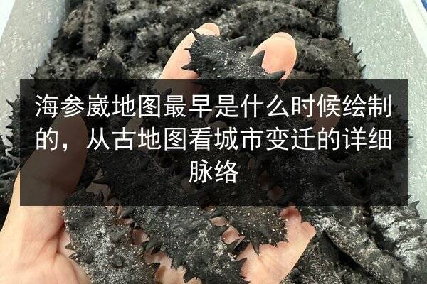 海参崴地图最早是什么时候绘制的,从古地图看城市变迁的详细脉络
