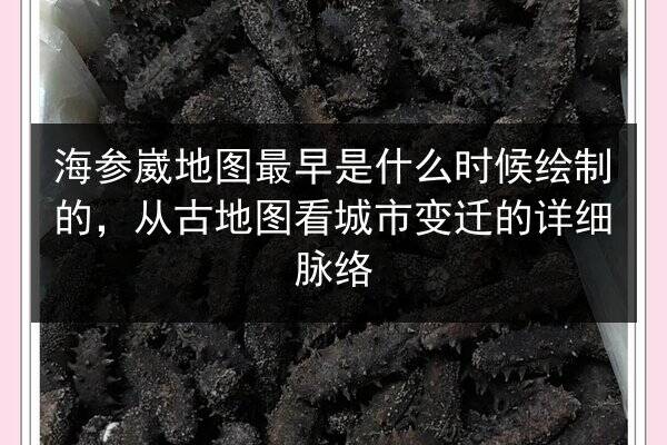 海参崴地图最早是什么时候绘制的,从古地图看城市变迁的详细脉络