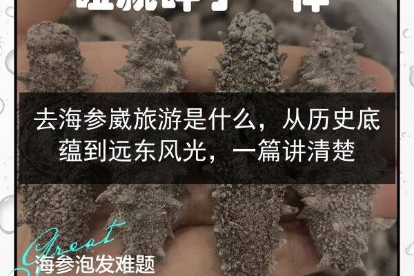 去海参崴旅游是什么，从历史底蕴到远东风光，一篇讲清楚
