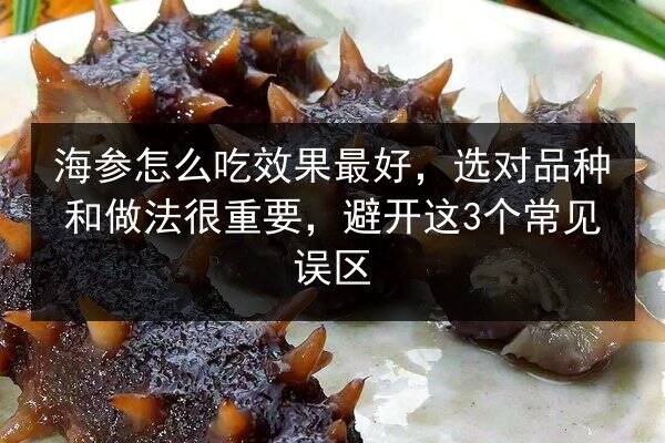 海参怎么吃效果最好,选对品种和做法很重要,避开这3个常见误区