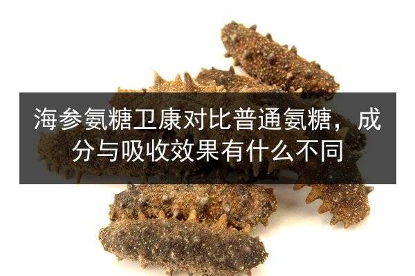 海参氨糖卫康对比普通氨糖，成分与吸收效果有什么不同