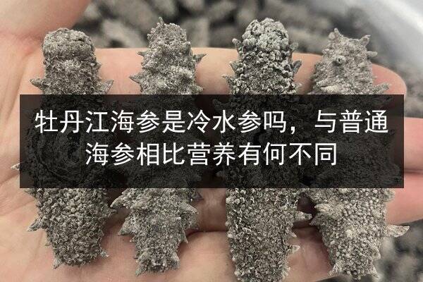 牡丹江海参是冷水参吗，与普通海参相比营养有何不同