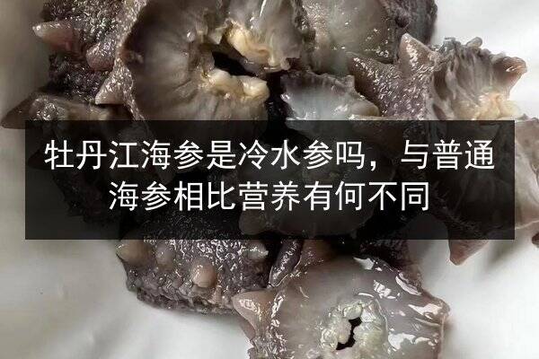 牡丹江海参是冷水参吗，与普通海参相比营养有何不同
