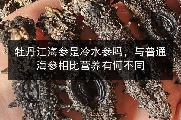 牡丹江海参是冷水参吗，与普通海参相比营养有何不同