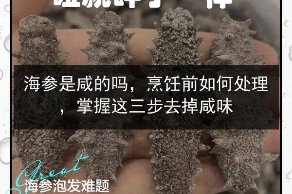 海参是咸的吗，烹饪前如何处理，掌握这三步去掉咸味
