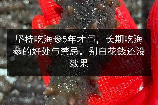 坚持吃海参5年才懂,长期吃海参的好处与禁忌,别白花钱还没效果