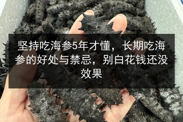 坚持吃海参5年才懂,长期吃海参的好处与禁忌,别白花钱还没效果