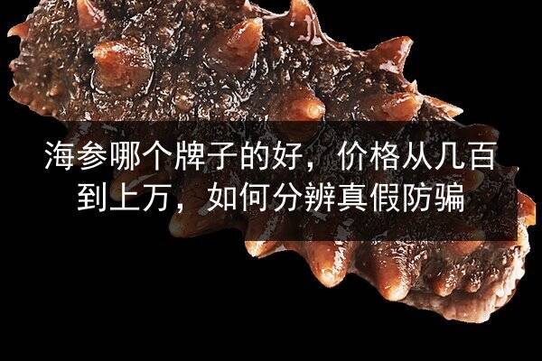 海参哪个牌子的好,价格从几百到上万,如何分辨真假防骗