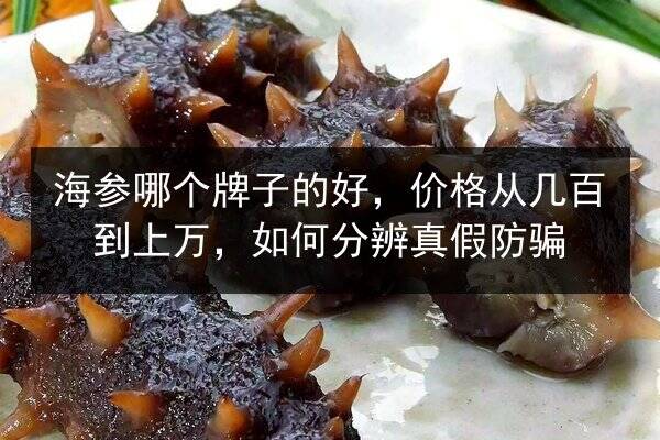 海参哪个牌子的好,价格从几百到上万,如何分辨真假防骗
