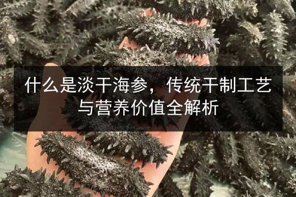 什么是淡干海参,传统干制工艺与营养价值全解析