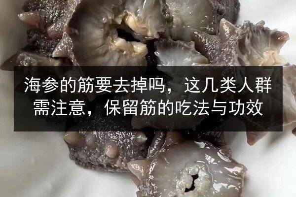 海参的筋要去掉吗,这几类人群需注意,保留筋的吃法与功效