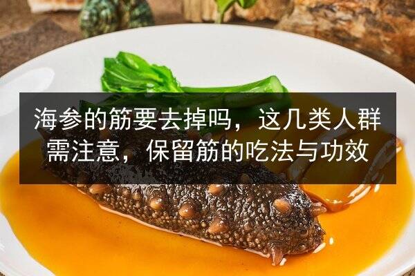 海参的筋要去掉吗,这几类人群需注意,保留筋的吃法与功效