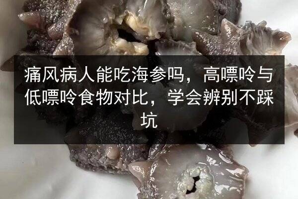 痛风病人能吃海参吗，高嘌呤与低嘌呤食物对比，学会辨别不踩坑