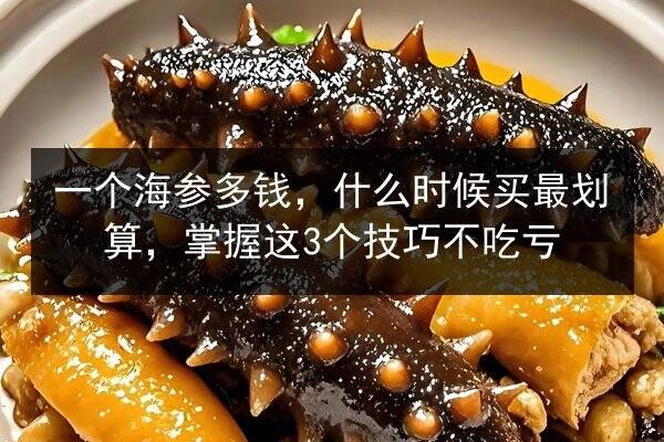 一个海参多钱,什么时候买最划算,掌握这3个技巧不吃亏
