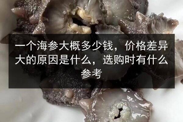 一个海参大概多少钱,价格差异大的原因是什么,选购时有什么参考