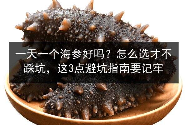 一天一个海参好吗？怎么选才不踩坑，这3点避坑指南要记牢
