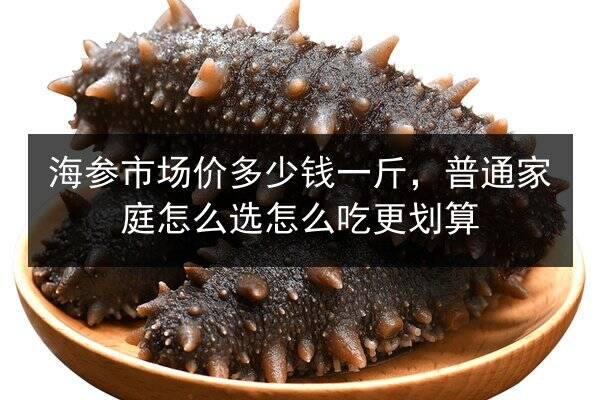 海参市场价多少钱一斤，普通家庭怎么选怎么吃更划算