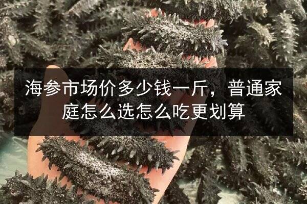 海参市场价多少钱一斤，普通家庭怎么选怎么吃更划算