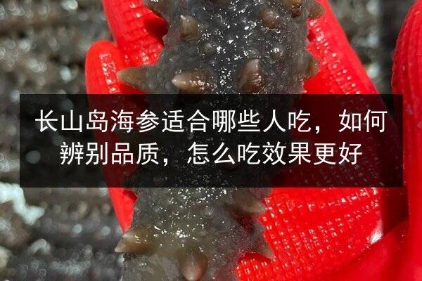 长山岛海参适合哪些人吃,如何辨别品质,怎么吃效果更好