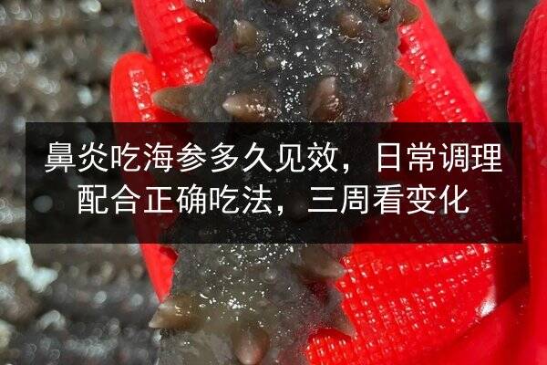 鼻炎吃海参多久见效，日常调理配合正确吃法，三周看变化