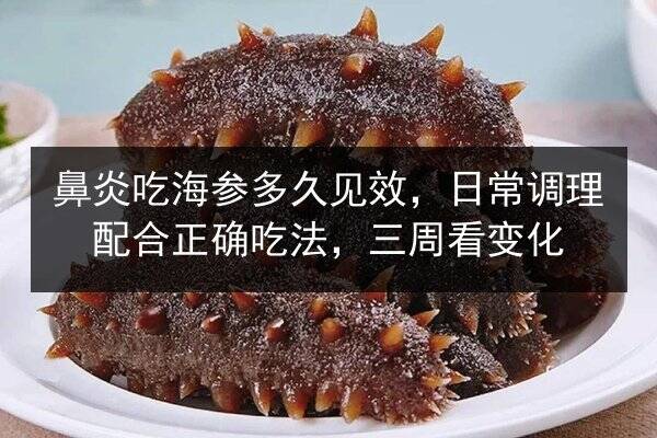 鼻炎吃海参多久见效，日常调理配合正确吃法，三周看变化
