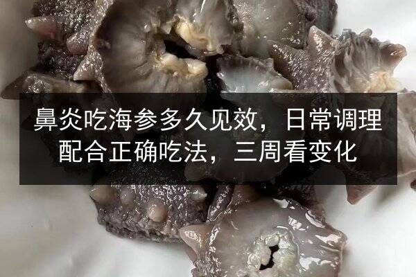 鼻炎吃海参多久见效，日常调理配合正确吃法，三周看变化