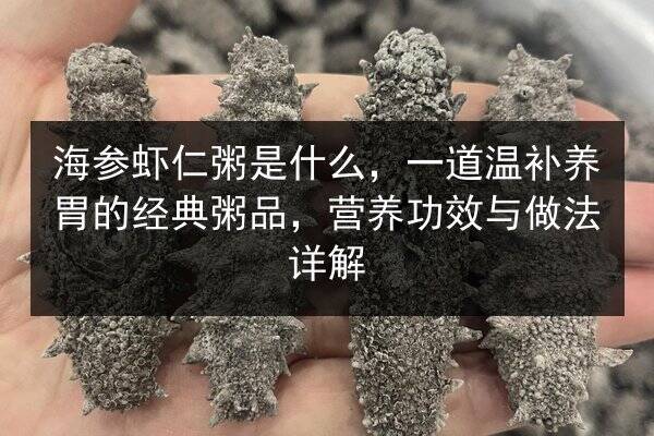 海参虾仁粥是什么,一道温补养胃的经典粥品,营养功效与做法详解