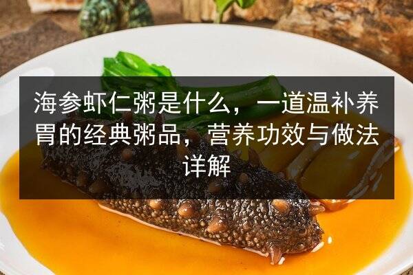 海参虾仁粥是什么,一道温补养胃的经典粥品,营养功效与做法详解