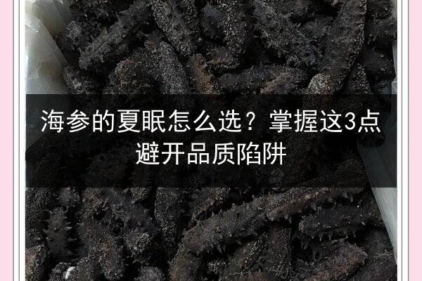 海参的夏眠怎么选？掌握这3点避开品质陷阱