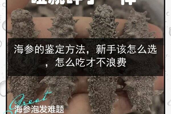海参的鉴定方法,新手该怎么选,怎么吃才不浪费