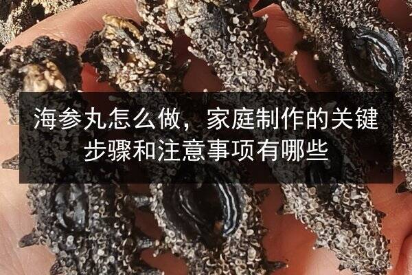 海参丸怎么做，家庭制作的关键步骤和注意事项有哪些