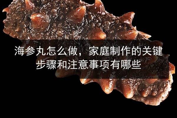 海参丸怎么做，家庭制作的关键步骤和注意事项有哪些