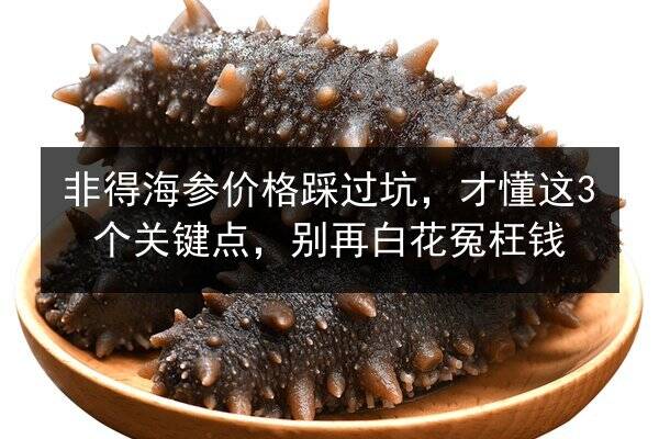 非得海参价格踩过坑，才懂这3个关键点，别再白花冤枉钱