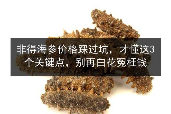 非得海参价格踩过坑，才懂这3个关键点，别再白花冤枉钱